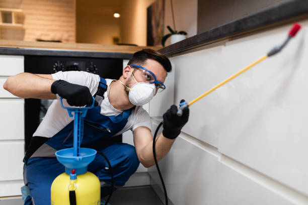 Best Pest Control Treatment  in Vails Gate, NY