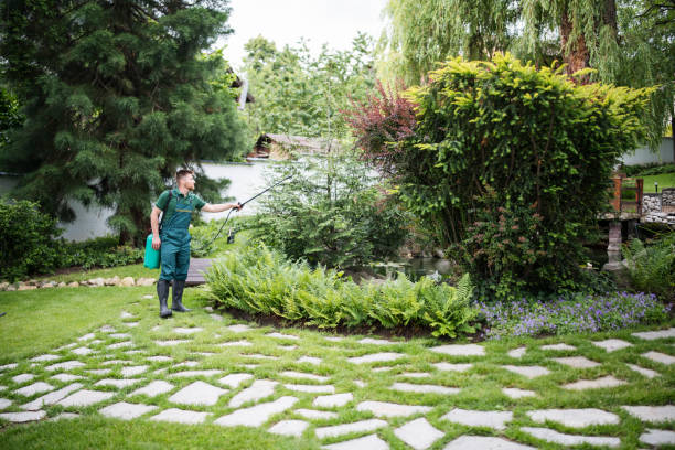 Best Mosquito Control Services  in Vails Gate, NY
