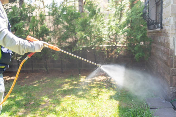 Best Residential Pest Control  in Vails Gate, NY